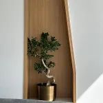 Yacht Concept Marina ドゥラス